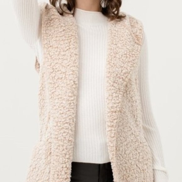Fleece Vest Hoodie - Picture 1 of 4